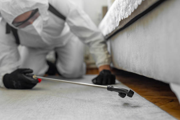 Professional Bed Bug Control technician working in Alvin, TX