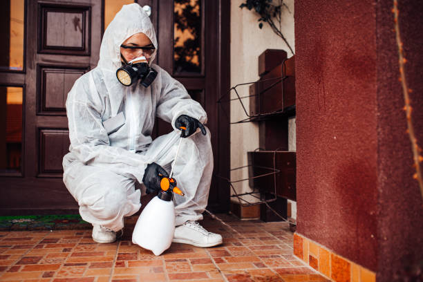 Reliable Bed Bug Control contractor in Alvin, TX by Nex Pest Control